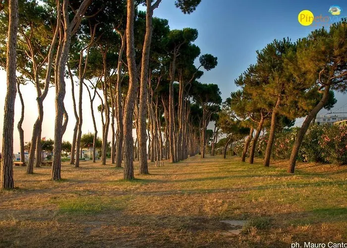 Apartamento Mango 2 *